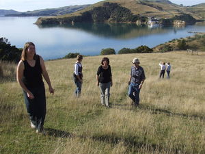 Artists Island Retreat St Martins Island